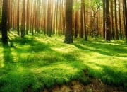 雷火电竞主播-本泽马连场破门助皇马领跑，尼斯爆冷击败德甲劲旅