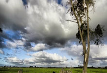 开云APP-欧洲足坛双重风暴！德国战车熄火引爆连锁反应，亚平宁争冠乱局再添薪柴